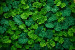 vert feuilles arrière-plan, la nature feuilles fond d'écran, feuilles arrière-plan, feuilles fond d'écran, ai génératif photo