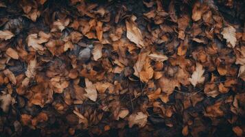 forêt la nature bois marron Haut vue ai généré photo