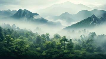 forêt de pointe plante brouillard paysage ai généré photo