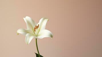 plante la nature fleur Contexte Célibataire ai généré photo