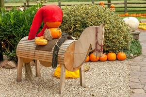 citrouilles en allemagne photo