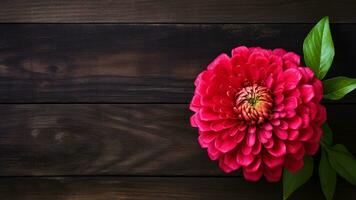 zinnia élégans fleur sur bois Contexte avec copie espace, ai génératif photo