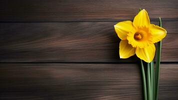 jonquille narcisse fleur sur bois Contexte avec copie espace, ai génératif photo