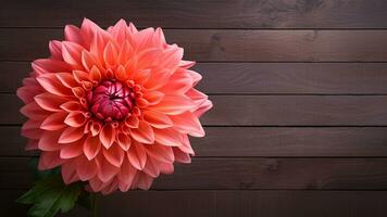 magnifique dahlia fleur sur bois Contexte avec copie espace, ai génératif photo