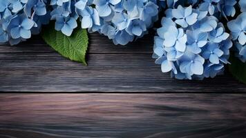 hortensia hortensia macrophylla sur en bois, ai génératif photo