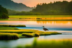 une oiseau des stands sur le rive de une Lac à le coucher du soleil. généré par ai photo