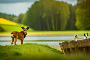 deux cerf permanent suivant à une banc par une lac. généré par ai photo