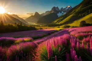 le Soleil brille plus de une champ de violet fleurs. généré par ai photo