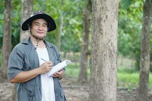 asiatique homme botaniste est inspecter tronc de arbre dans forêt à une analyse et recherche à propos croissance de arbre. concept, forêt évaluation. préservation de environnement. enquête botanique les plantes. photo