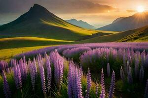 le Soleil ensembles plus de une champ de violet fleurs. généré par ai photo