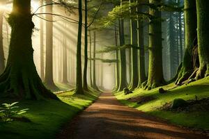 une chemin par une forêt avec des arbres et Soleil. généré par ai photo