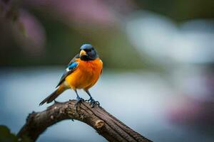 une bleu et Orange oiseau séance sur une branche. généré par ai photo