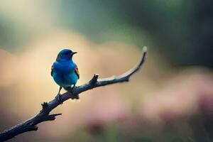 photo fond d'écran oiseau, le ciel, le soleil, le oiseau, le oiseau, le oiseau,. généré par ai