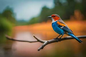 une coloré oiseau est assis sur une branche près une lac. généré par ai photo