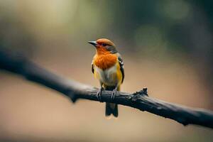 une petit oiseau est séance sur une branche. généré par ai photo