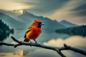 photo fond d'écran le ciel, montagnes, oiseau, lac, oiseau, oiseau, oiseau, oiseau,. généré par ai