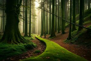 une chemin par une forêt avec moussu des arbres. généré par ai photo