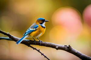 une petit oiseau est séance sur une branche. généré par ai photo