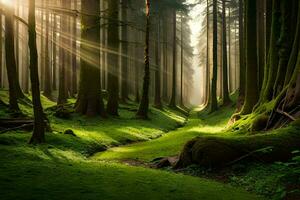 une forêt avec des arbres et herbe. généré par ai photo