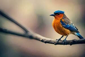 une bleu et Orange oiseau est séance sur une branche. généré par ai photo