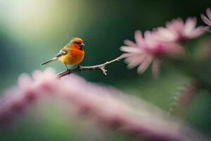 une petit Orange oiseau est séance sur une branche. généré par ai photo