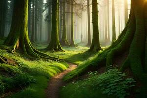 une chemin par une forêt avec des arbres et herbe. généré par ai photo