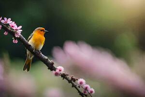 une oiseau est assis sur une branche avec rose fleurs. généré par ai photo