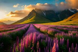 une champ de violet fleurs et montagnes à le coucher du soleil. généré par ai photo