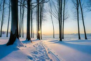 photographier - hiver forêt par Jimmy Kim. généré par ai photo