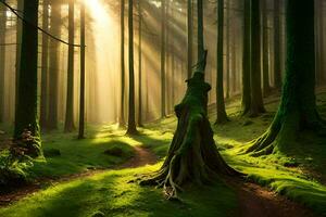 une chemin par une forêt avec des arbres et rayons de soleil. généré par ai photo