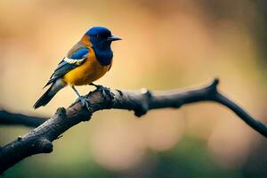 une bleu et Orange oiseau séance sur une branche. généré par ai photo