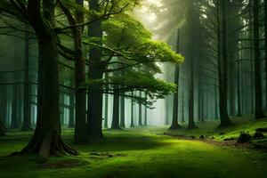 une chemin par une forêt avec des arbres et herbe. généré par ai photo