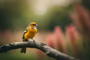 une Jaune oiseau séance sur une branche dans de face de une champ. généré par ai photo