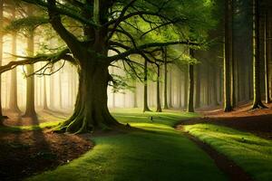 une arbre dans le forêt avec lumière du soleil brillant par il. généré par ai photo