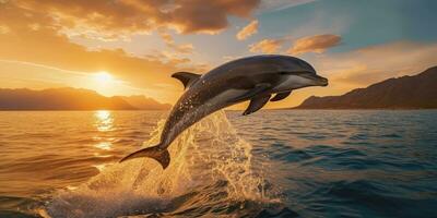 magnifique dauphin saut sauter de brillant le coucher du soleil mer ai génératif photo