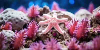 une magnifique étoile de mer autour très magnifique corail récif ai génératif photo