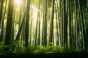 brillant lumière du soleil filtration par bambou forêt ai génératif photo