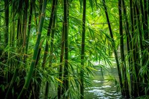 le vert bambou ai génératif photo