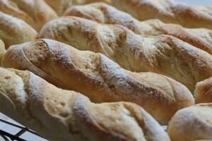 baguette français pain photo