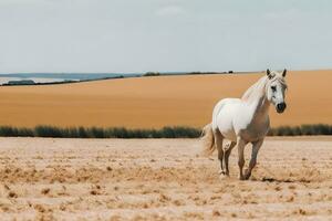 Jeune marron cheval galopant, sauter sur le champ sur une neutre Contexte. neural réseau ai généré photo