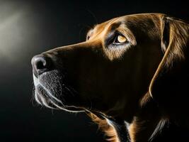 spectaculaire côté nez lumière de le droite ai génératif photo