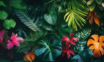 beaucoup vivement coloré tropical les plantes sont sur une noir mur photo