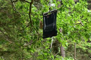 rustique camp douche pendaison de une arbre photo