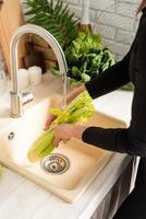 femme lavant le céleri dans l'évier de la cuisine photo