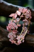 des bois élégant gemmes promotion - ai généré photo