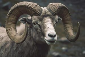 proche en haut de curieuse RAM. génératif ai photo