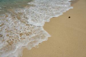 vagues avec mousse sur le Caraïbes côte dans Mexique. photo