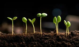 le miracle de la vie minuscule plante semis prise racine création en utilisant génératif ai outils photo