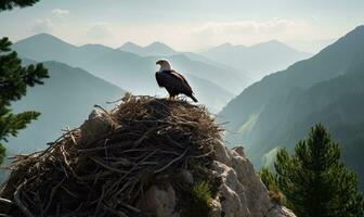 Aigle garde leur Montagne nid création en utilisant génératif ai outils photo