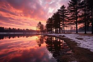 silhouettes de des arbres en dessous de une nuageux ciel pendant le coucher du soleil professionnel La publicité la photographie ai génératif photo